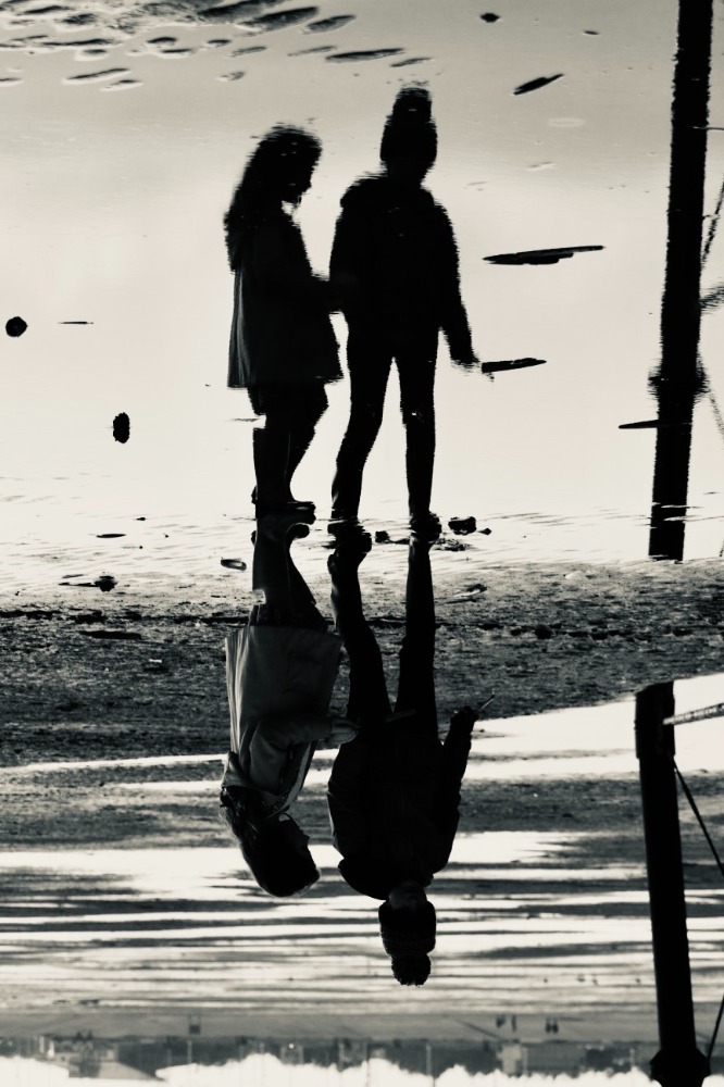 Upside Down - 2nd place, RSPB Marshside. Canon EOS M50